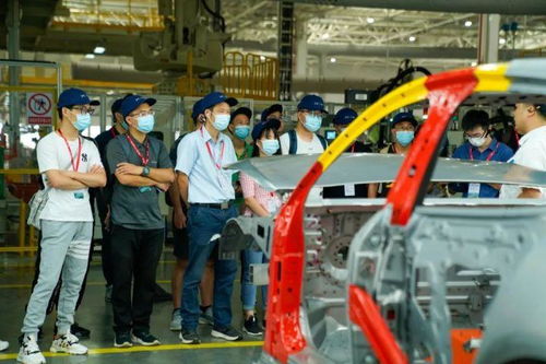 探訪完肇慶工廠，小鵬和特斯拉、蔚來、理想的車主怎么看P7？——申夢汽車視角